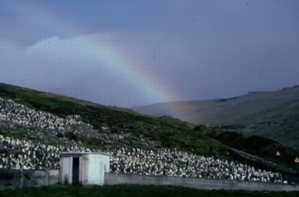Rainbow on Crozet