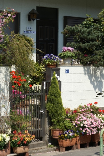 jardin debordant