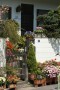 jardin debordant